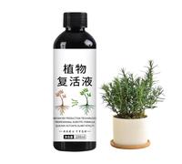 Nourriture Liquide pour d'Appartement Concentré pour le Bouturage et