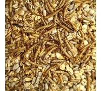20 kg Aliment pour Oiseaux Sauvages, Nourriture avec Vers de Farine sans Coquille