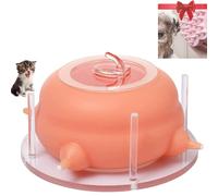 Nourriture pour chiots Miracle Nipple pour chiots multiples,Formule de remplacement du lait parfaite pour les chiots et chatons nouveau-nés,4 tétines Brosse de bain pour animaux de compagnie gratuite
