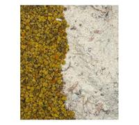 Nourriture pour escargots et escargots - Avec pollen de fleurs - Mélange de chaux et escargots - Mélange d'escargots et d'escargots - Avec des substances naturelles pour la construction des cages à
