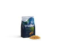 Nourriture pour Poisson de Bassin Dynamix Sticks Vital, Bon pour la vitalité, 4l