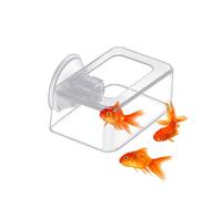 Nourriture pour poissons en acrylique - Pour poissons d'aquarium - Point fixe doré - Anneau d'alimentation anti-grattage - Outil de raccordement au design carré pour grands et petits bassins