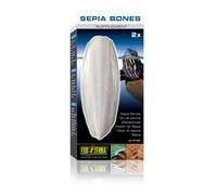 Nourriture pour tortues - EXO TERRA - Os de seiche - Complément nutritionnel - Moins de 1 kg - Adulte