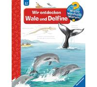 Nous découvrons les baleines et les dauphins