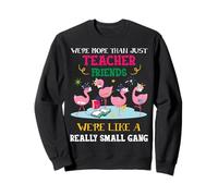 Nous sommes bien plus que de simples amis professeurs Flamingo Funny Sweatshirt