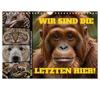 Nous sommes les derniers ici ! Nous sommes en train de mourir. Comment tu peux nous aider !, Version française (Calendrier mural 2026 DIN A4 portrait), Calendrier CALVENDO mensuel