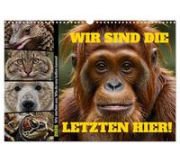 Nous sommes les derniers ici ! Nous sommes en train de mourir. Comment tu peux nous aider !, Version française (Calendrier mural 2026 DIN A3 portrait), Calendrier CALVENDO mensuel