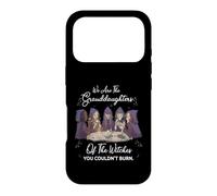 Nous Sommes Les Petites-Filles des sorcières Coque pour iPhone 17 Pro
