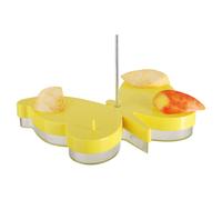 Nouveau Abreuvoir Pour Papillons, Bol Alimentaire À Suspendre/Poser