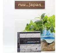 Nouveau CD Brad Mehldau Trio-Blues And Ballads-Japan