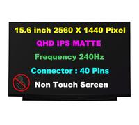 Nouveau écran large 15,6" compatible avec Dell ALIENWARE M15 R6 Ordinateur portable LED LCD QHD (2560x1440) IPS Mat 240Hz Panneau d'affichage non tactile 40 broches eDP