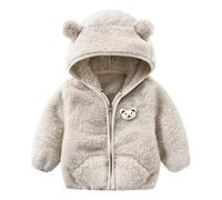 Nouveau-né Bébé Fille Veste Oreilles d'ours Capuche Vêtements d'extérieur Fermeture éclair Manteau d'hiver chaud Quel coût l'amour, gris, 18-24 mois