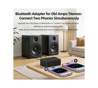 Nouveau Récepteur Audio 6.0, Module D'Amplification Audio pour Haut-Parleurs, Kit de Mise à Niveau pour Anciens Haut-Parleurs, Large