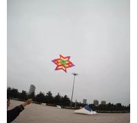Nouveau Style 3D Fleur cerf-Volant pour Enfants Adultes Facile à Voler 1 Pc Jouet extérieur pour Pique-Nique Plage Parc Voyage