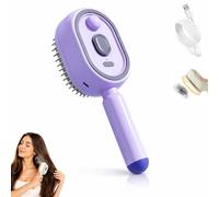 Nouveauté 2026 : Brosse Vapeur Électrique Pour Cheveux, Lisseur Vapeur Rechargeable, Peigne Démêlant Anti-frisottis, Pour Cheveux Courts Et Longs, Portable(Purple)