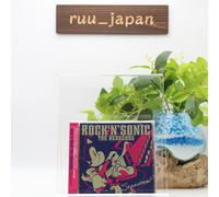 Nouvel album CD Rock 'n' Sonic The Hedgehog : Sessions (2CD+DVD)