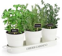 NouvelHorizonstore-Jardin d'herbes aromatiques d'intérieur pour intérieur/extérieur, Pots de Fleurs de Ferme, kit de Jardin d'herbes aromatiques avec Plateau, Pots de fenêtre pour Plantes d'intérieur