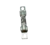 Nouvelle assurance de véhicule électrique de véhicule d'énergie EV315-M-3E 15A30A40A50A 500VDC fusible(EV315-M-3E 50A)