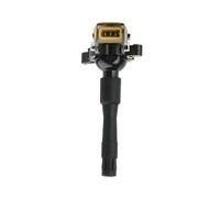 Nouvelle Bobine D'allumage 12131748018 1227030081 Pour E38 E39 E31 X5 540i 750il 4.4 4.6 12131703227 12131703228