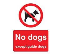 Nouvelle-Calédonie Signes 13603e Chien NE sauf Guide Panneau chien, 200 mm x 150 mm, plastique rigide