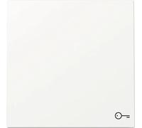 NOUVELLE génération Gira 328770 Bascule avec symbole Clé Interrupteur de surface blanc pur/brillant