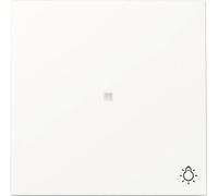 NOUVELLE génération Gira 367470 Bascule de contrôle avec fenêtre de contrôle + symbole lumière Interrupteur de surface blanc pur/brillant