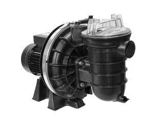 Nouvelle Pompe Sta-Rite (5P2R) - 1 cv mono 15 m³/h