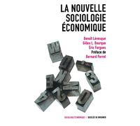 Nouvelle sociologie économique