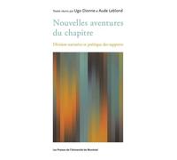 Nouvelles Aventures Du Chapitre - Division Narrative Et Poétique Des Supports