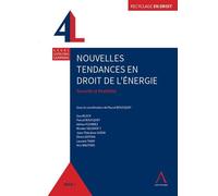 Nouvelles tendances en droit de l'energie Securite et flexibilite - BOUCQUEY P. - Anthemis - broché - Etude