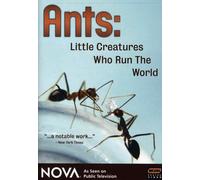 Nova: Ants-Little Creatures Who Run The World