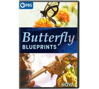 Nova: Butterfly Blueprints [Dvd]