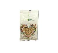 Nova Diet Racine d'Angélique 40g