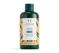 NOVA ENGEL Ginger Shampoo 250 ml