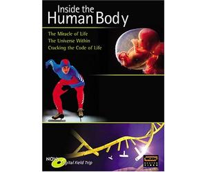 Nova Field Trips: Inside the Human Body - Cracking [Import USA Zone 1]