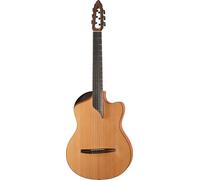 NOVA Guitars NOVA Guitars Innovator w/PU