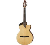 NOVA Guitars NOVA Guitars Revelator w/PU