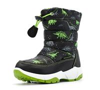 Nova Mountain Bottes de neige imperméables pour garçons et filles, pointure :, Nfwb102 Greendino, 11 Little Kid