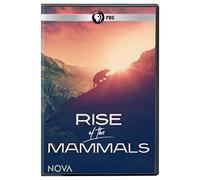 Nova: Rise of The Mammals