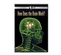 Nova scienceNOW: How Does The Brain Work