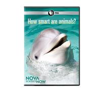 Nova scienceNOW: How Smart are Animals
