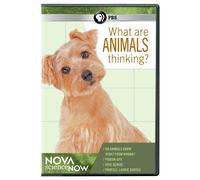 Nova Sciencenow: What are Animals Thinking