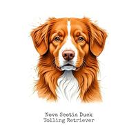 Nova Scotia Duck Tolling Retriever: Notebook, 120 blank lined pages, 6 by 9