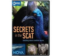 Nova: Secrets In The Scat [Dvd]