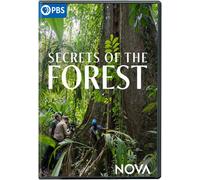 Nova: Secrets Of The Forest [Digital Video Disc]
