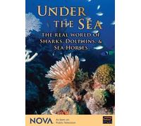 Nova: Under The Sea - The Real World Of Sharks, Dolphins, & Sea Horses