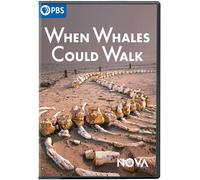 Nova: When Whales Could Walk [Digital Video Disc]