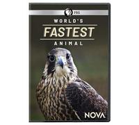 Nova: World's Fastest Animal