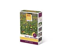 novaflore - jachère fleurs sauvages 50 à 100 m2