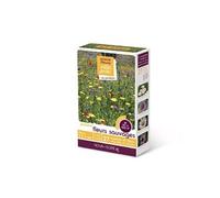 novaflore - jachère fleurs sauvages 50 à 100 m2